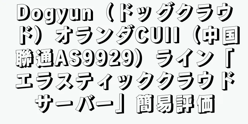 Dogyun（ドッグクラウド）オランダCUII（中国聯通AS9929）ライン「エラスティッククラウドサーバー」簡易評価