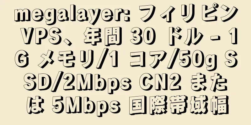 megalayer: フィリピン VPS、年間 30 ドル - 1G メモリ/1 コア/50g SSD/2Mbps CN2 または 5Mbps 国際帯域幅