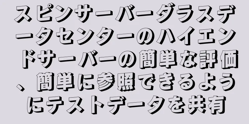 スピンサーバーダラスデータセンターのハイエンドサーバーの簡単な評価、簡単に参照できるようにテストデータを共有