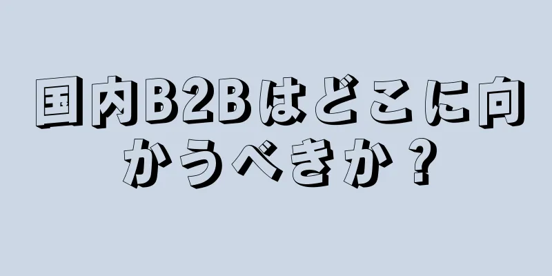 国内B2Bはどこに向かうべきか？