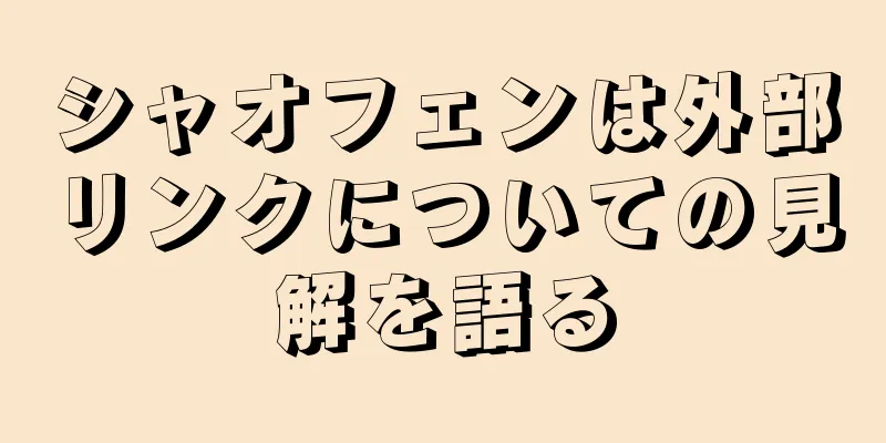 シャオフェンは外部リンクについての見解を語る