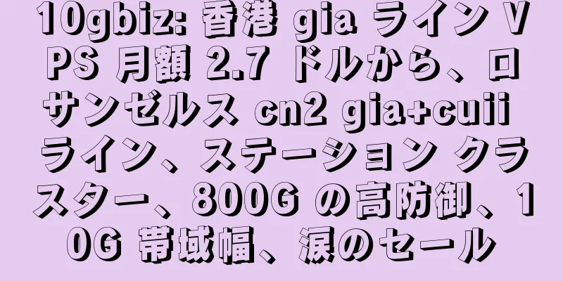 10gbiz: 香港 gia ライン VPS 月額 2.7 ドルから、ロサンゼルス cn2 gia+cuii ライン、ステーション クラスター、800G の高防御、10G 帯域幅、涙のセール