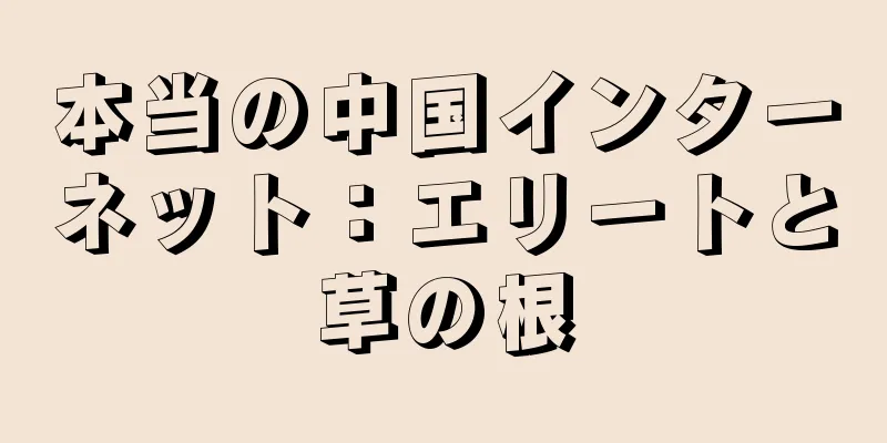 本当の中国インターネット：エリートと草の根