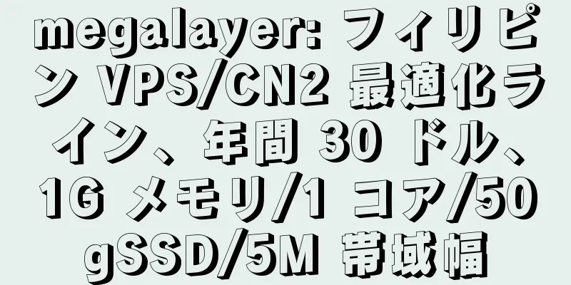 megalayer: フィリピン VPS/CN2 最適化ライン、年間 30 ドル、1G メモリ/1 コア/50gSSD/5M 帯域幅