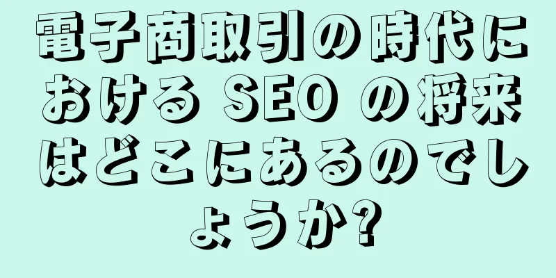 電子商取引の時代における SEO の将来はどこにあるのでしょうか?