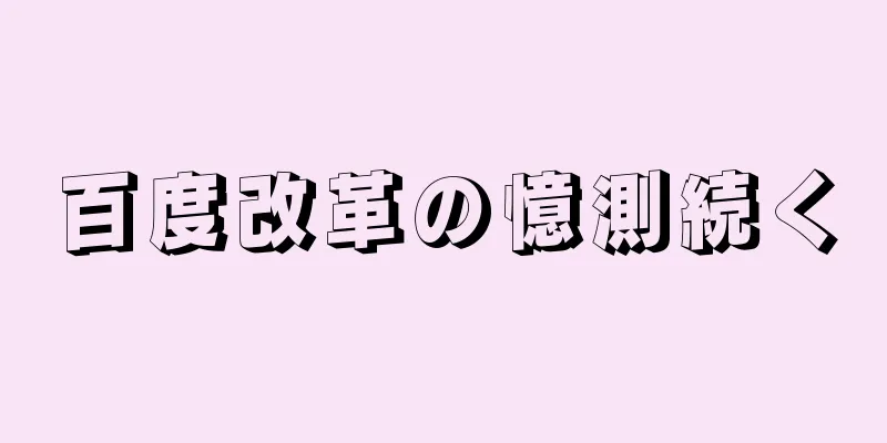 百度改革の憶測続く