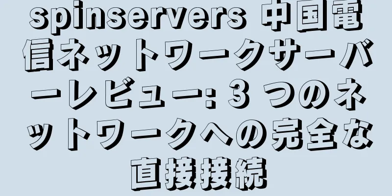 spinservers 中国電信ネットワークサーバーレビュー: 3 つのネットワークへの完全な直接接続