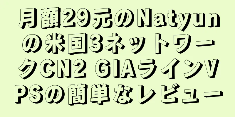 月額29元のNatyunの米国3ネットワークCN2 GIAラインVPSの簡単なレビュー