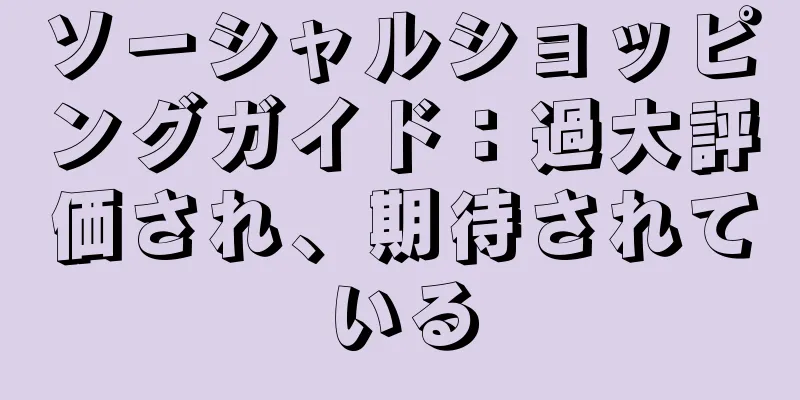 ソーシャルショッピングガイド：過大評価され、期待されている