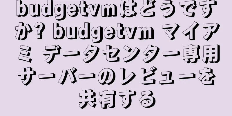budgetvmはどうですか? budgetvm マイアミ データセンター専用サーバーのレビューを共有する