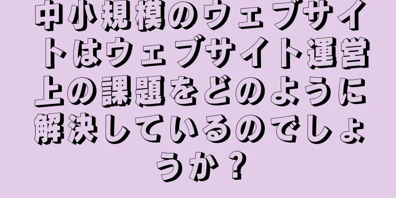 中小規模のウェブサイトはウェブサイト運営上の課題をどのように解決しているのでしょうか？