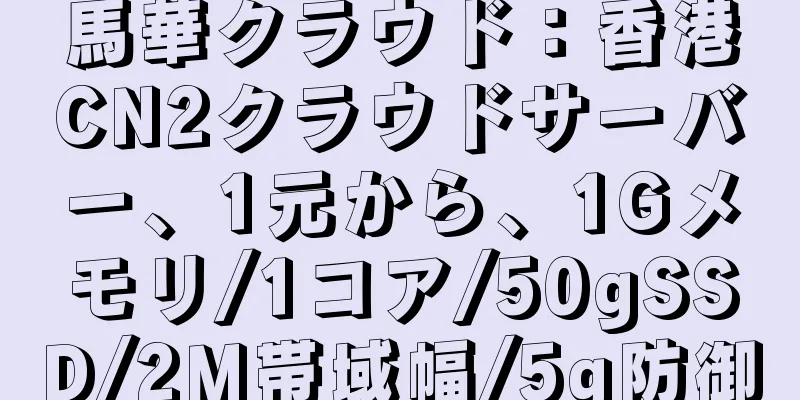 馬華クラウド：香港CN2クラウドサーバー、1元から、1Gメモリ/1コア/50gSSD/2M帯域幅/5g防御