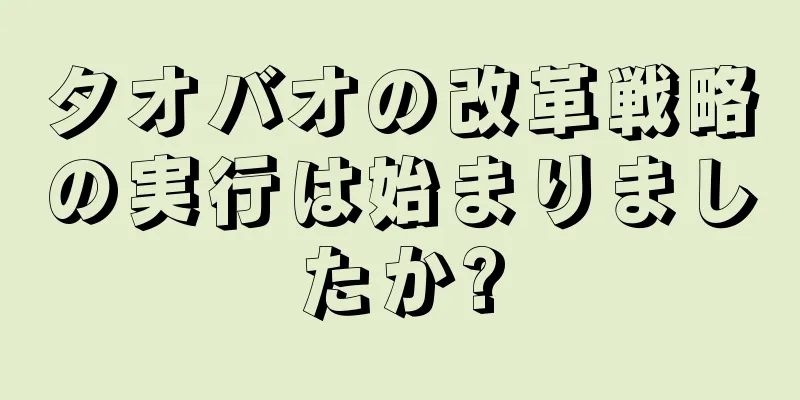 タオバオの改革戦略の実行は始まりましたか?