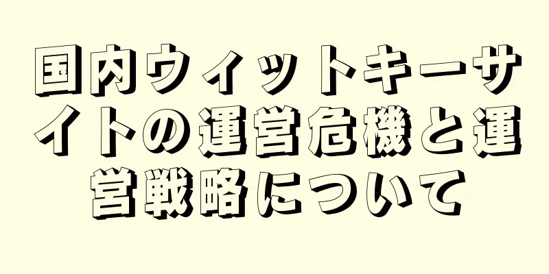 国内ウィットキーサイトの運営危機と運営戦略について