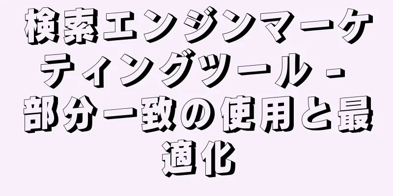 検索エンジンマーケティングツール - 部分一致の使用と最適化
