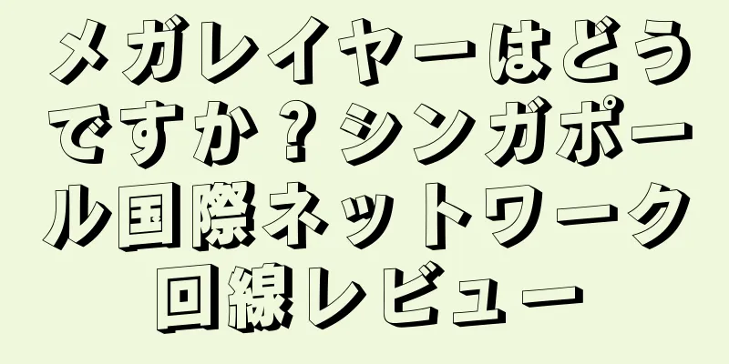メガレイヤーはどうですか？シンガポール国際ネットワーク回線レビュー