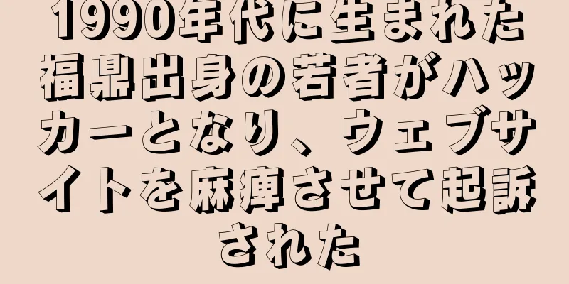 1990年代に生まれた福鼎出身の若者がハッカーとなり、ウェブサイトを麻痺させて起訴された