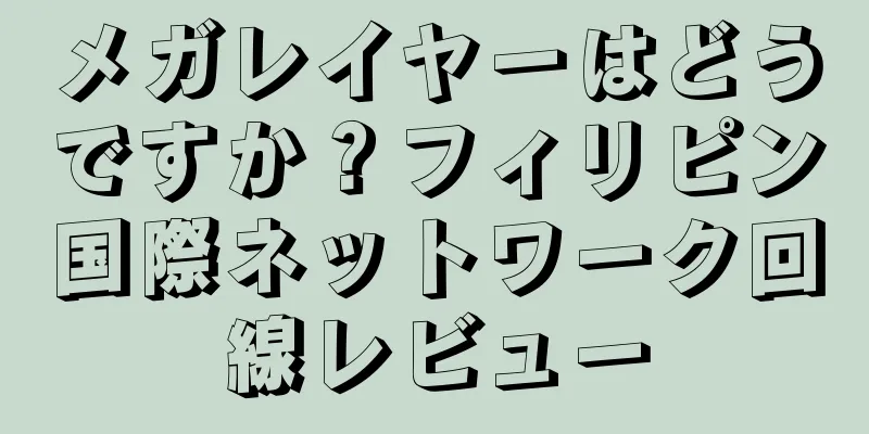 メガレイヤーはどうですか？フィリピン国際ネットワーク回線レビュー