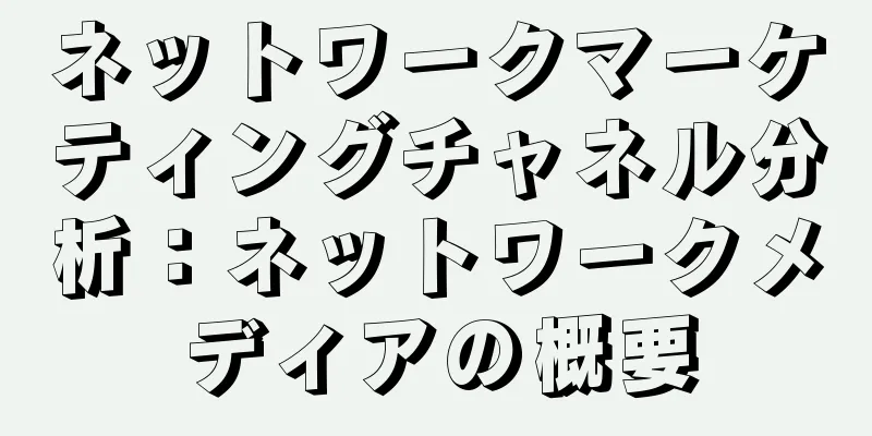 ネットワークマーケティングチャネル分析：ネットワークメディアの概要