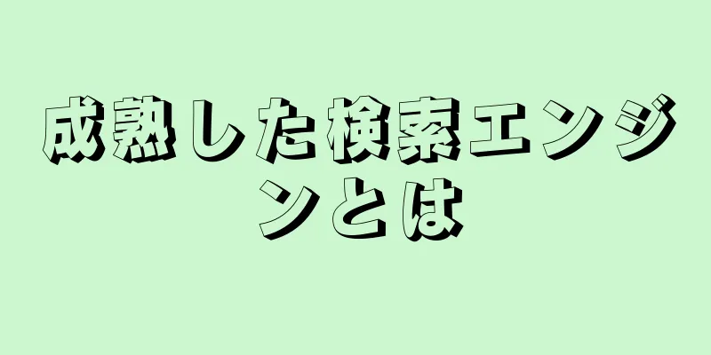 成熟した検索エンジンとは