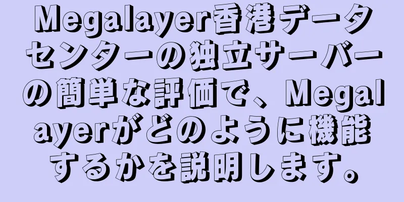 Megalayer香港データセンターの独立サーバーの簡単な評価で、Megalayerがどのように機能するかを説明します。