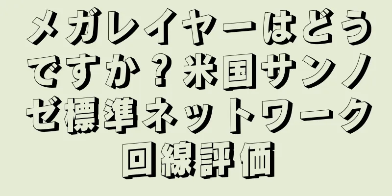 メガレイヤーはどうですか？米国サンノゼ標準ネットワーク回線評価