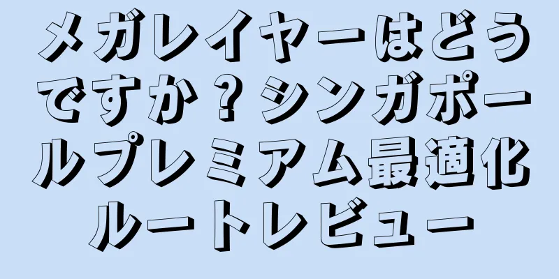 メガレイヤーはどうですか？シンガポールプレミアム最適化ルートレビュー