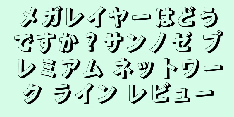 メガレイヤーはどうですか？サンノゼ プレミアム ネットワーク ライン レビュー