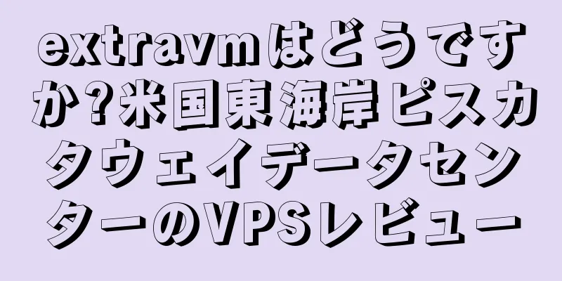 extravmはどうですか?米国東海岸ピスカタウェイデータセンターのVPSレビュー