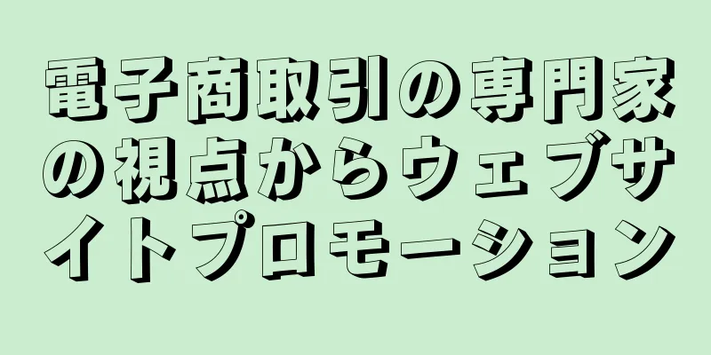電子商取引の専門家の視点からウェブサイトプロモーション