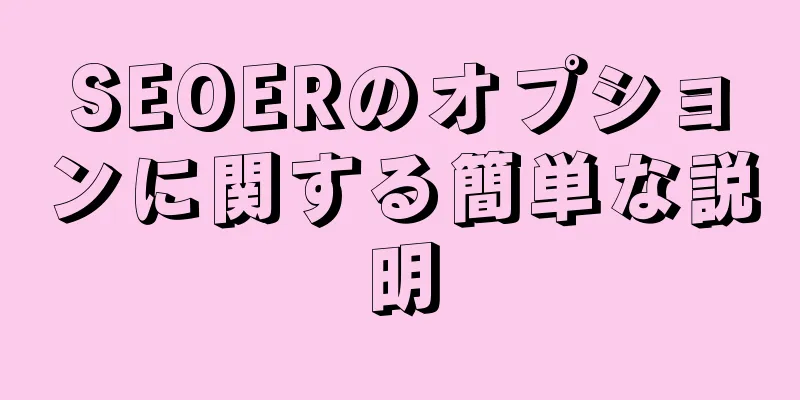 SEOERのオプションに関する簡単な説明
