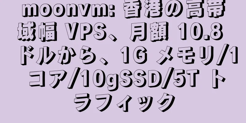 moonvm: 香港の高帯域幅 VPS、月額 10.8 ドルから、1G メモリ/1 コア/10gSSD/5T トラフィック
