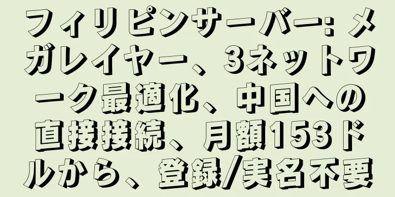 フィリピンサーバー: メガレイヤー、3ネットワーク最適化、中国への直接接続、月額153ドルから、登録/実名不要