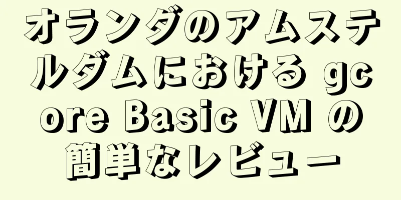 オランダのアムステルダムにおける gcore Basic VM の簡単なレビュー