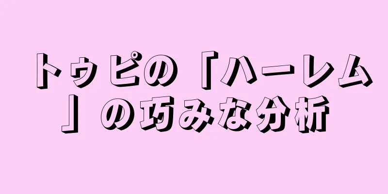 トゥピの「ハーレム」の巧みな分析