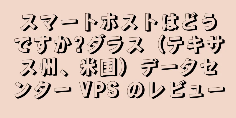 スマートホストはどうですか?ダラス（テキサス州、米国）データセンター VPS のレビュー