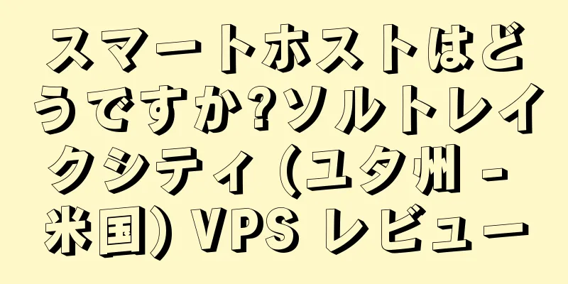スマートホストはどうですか?ソルトレイクシティ (ユタ州 - 米国) VPS レビュー