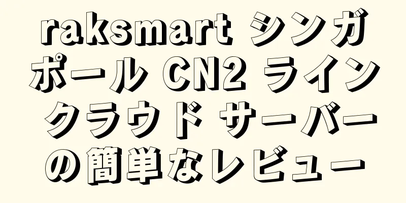 raksmart シンガポール CN2 ライン クラウド サーバーの簡単なレビュー