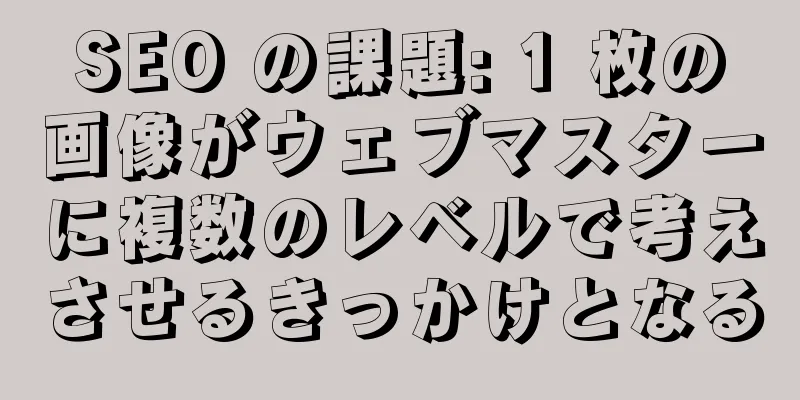SEO の課題: 1 枚の画像がウェブマスターに複数のレベルで考えさせるきっかけとなる
