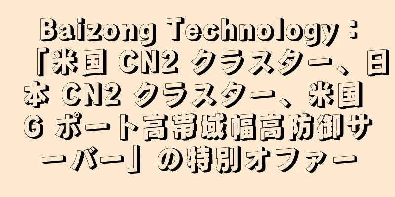 Baizong Technology：「米国 CN2 クラスター、日本 CN2 クラスター、米国 G ポート高帯域幅高防御サーバー」の特別オファー