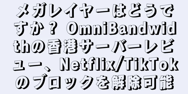 メガレイヤーはどうですか？ OmniBandwidthの香港サーバーレビュー、Netflix/TikTokのブロックを解除可能