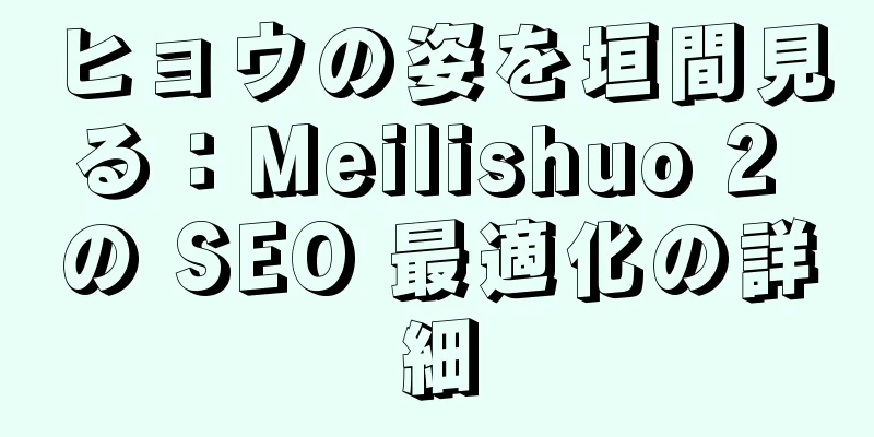ヒョウの姿を垣間見る：Meilishuo 2 の SEO 最適化の詳細