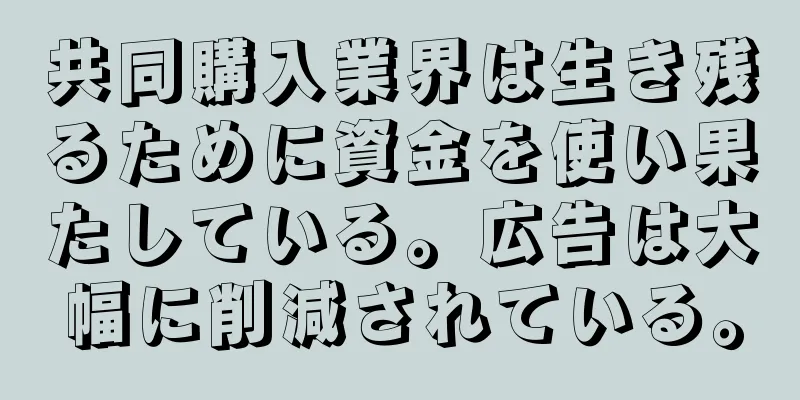 共同購入業界は生き残るために資金を使い果たしている。広告は大幅に削減されている。