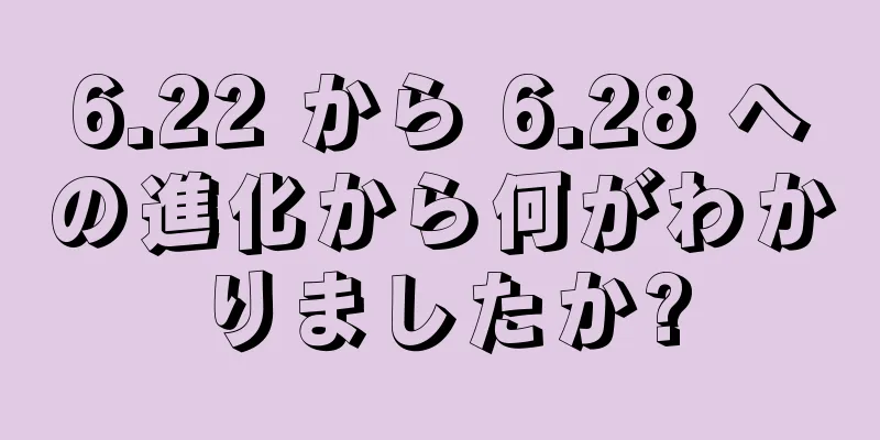 6.22 から 6.28 への進化から何がわかりましたか?