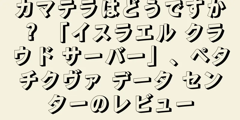カマテラはどうですか？ 「イスラエル クラウド サーバー」、ペタチクヴァ データ センターのレビュー