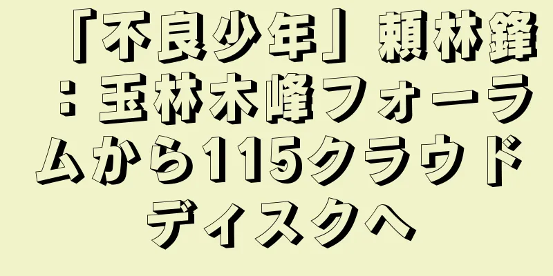 「不良少年」頼林鋒：玉林木峰フォーラムから115クラウドディスクへ