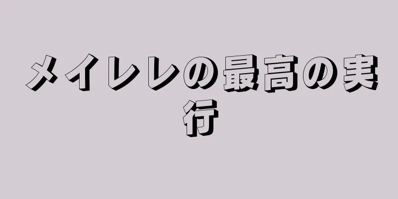 メイレレの最高の実行