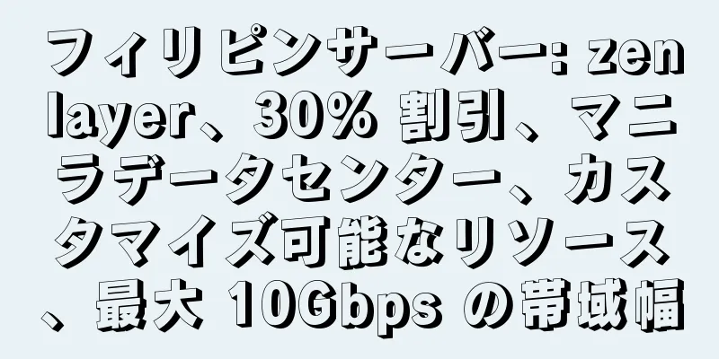 フィリピンサーバー: zenlayer、30% 割引、マニラデータセンター、カスタマイズ可能なリソース、最大 10Gbps の帯域幅
