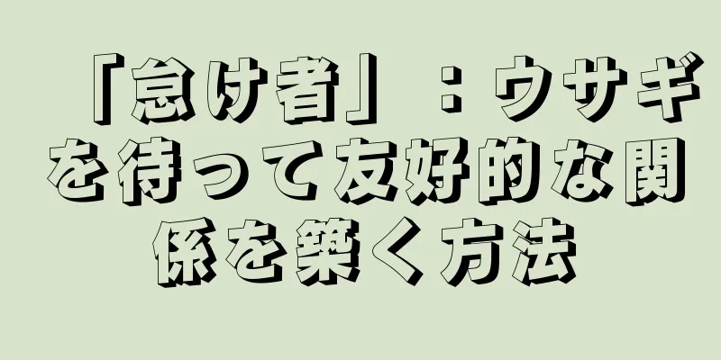「怠け者」：ウサギを待って友好的な関係を築く方法