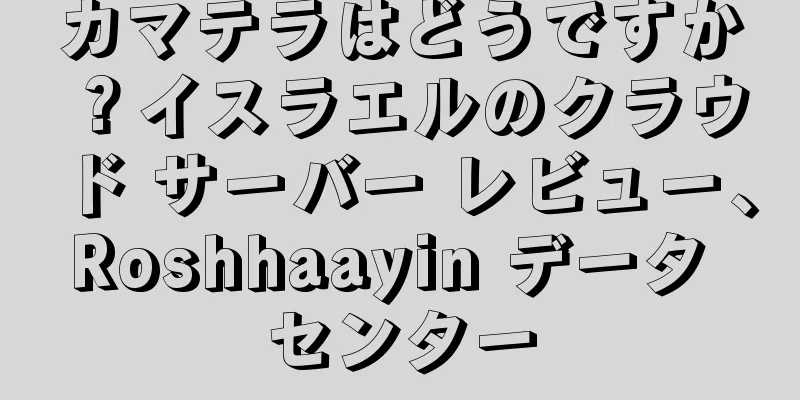 カマテラはどうですか？イスラエルのクラウド サーバー レビュー、Roshhaayin データ センター